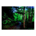 wooden trail card