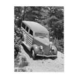 Woodie in the Woods, 1930s Post Cards