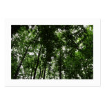 Woodland Canopy 01 Business Card
