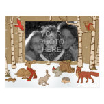 Woodland Christmas Photo Postcard