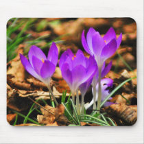 Woodland Crocuses Mousepad