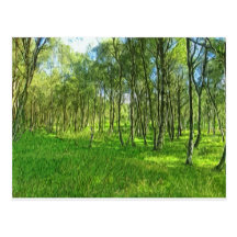 Woodland Derbyshire Post Cards