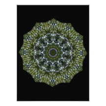 Woodland Energy Photo Art