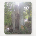 Woodland Faerie Door Mouse Mat