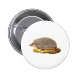 Woodland Hedgehog Pinback Buttons