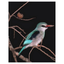Woodland kingfisher, Mara River Camp, Kenya Flyer