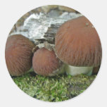 Woodland Mushrooms Coordinating Items Stickers