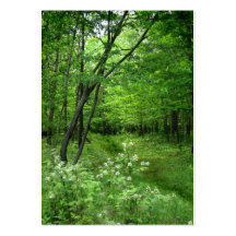 Woodland Path ATC Business Card Templates