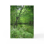 Woodland Path Greeting Cards