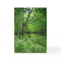 Woodland Path cards