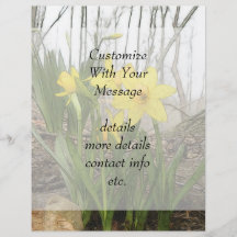 Woodland Scene - Daffodils Flyers