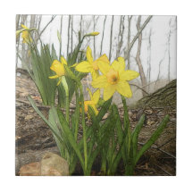 Woodland Scene - Daffodils Tile