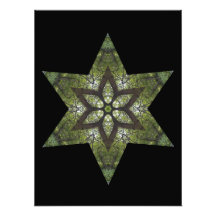 Woodland Star Art Photo