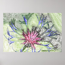 Woodland star flower canvas print