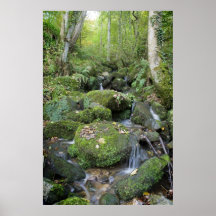 Woodland Stream Print