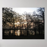 Woodland Sunset Print