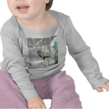 Woodpecker Animal Shirts