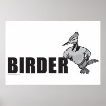 Woodpecker Bird Watching
