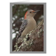 Woodpecker Card