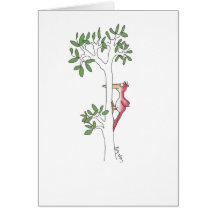 Woodpecker Greeting Cards