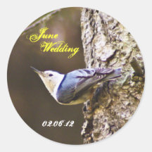 Woodpecker June Wedding  Sticker