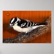 WOODPECKER
