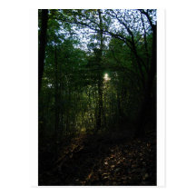 woods 2 postcards