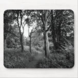 Woods Bute Park, Cardiff Mouse Pads