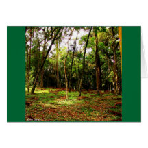 WOODS GREETING CARDS