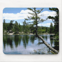 Woods Mouse Pad