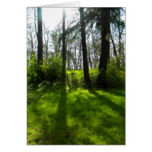 Woods Shadow Greeting Card