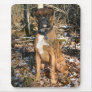 Woods Walk Boxer