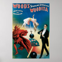 Wood's ~ Woodita Magician Vintage Magic Act