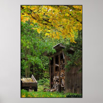 Woodshed Posters