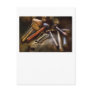 Woodworker - A Collection of Hammers Post Card