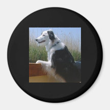 WOOF FRIDGE MAGNETS