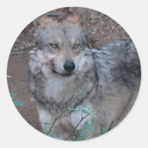 Woof Round Stickers