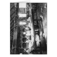 Wool-Sorting Room, Clifton Station Greeting Cards