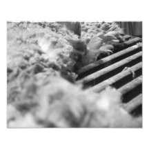 Wool Table Photo