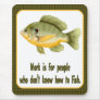 Work or Fish