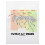 Worker Ant Inside (Ant Anatomy) letterhead