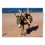 Working Donkey Greeting Cards