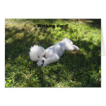 Working Hard! Greeting Card