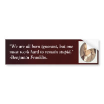 Working hard to remain stupid bumper sticker