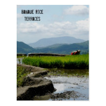 Working on the Terraces Postcards