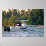 World Cat 250SF posters