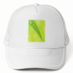 World Conservation Baseball Hat