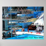 WORLD SWIMMING CHAMPIONSHIP 2009 POSTER