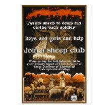 World War 1 Sheep Poster Advertisement Postcards