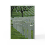 World War II cemetery, Memorial Day Greeting Cards